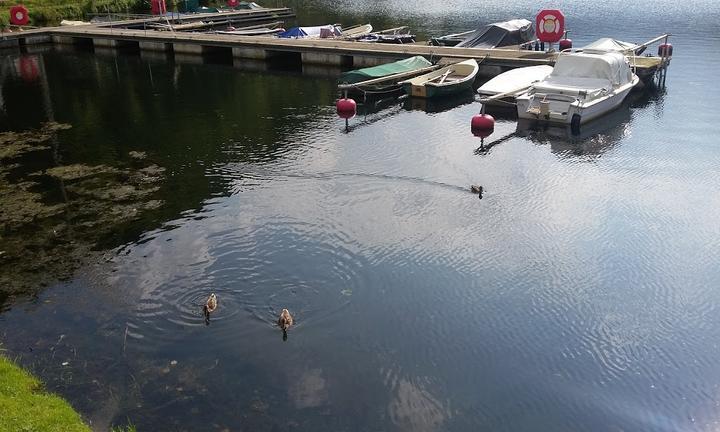 Cafe-Restaurant Strepp am See